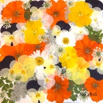 ♡new♡作家様必見♡押し花MIXセット♡押し花セット