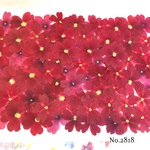 ♡new♡選別前だからお安く♡バーベナの押し花セット♡