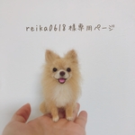 ＊オーダー品＊手乗りうちの子　ココちゃん