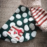 hanana0828様専用窓　にぎやかクリスマス🎄　モコモコハイネック♥　犬服