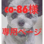 ★co-86様専用ページ