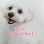 Y様専用となっております
