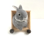 〜むぎゅっと出ようとしちゃってるうさぎさん〜 うさぎ 羊毛フェルト 壁飾り フレーム 壁掛け ネザーランドドワーフ ミニうさぎ グレー