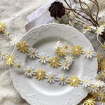 1m 綺麗 花 マーガレット フラワー ケミカルレース ブレード カナリーイエロー BK211207 ハンドメイド 手芸