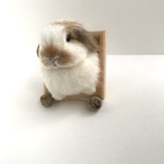 〜むぎゅっと出ようとしちゃってるうさぎさん〜 うさぎ 羊毛フェルト 壁飾り フレーム 壁掛け ロップイヤー ミニうさぎ ブロークンオレンジ