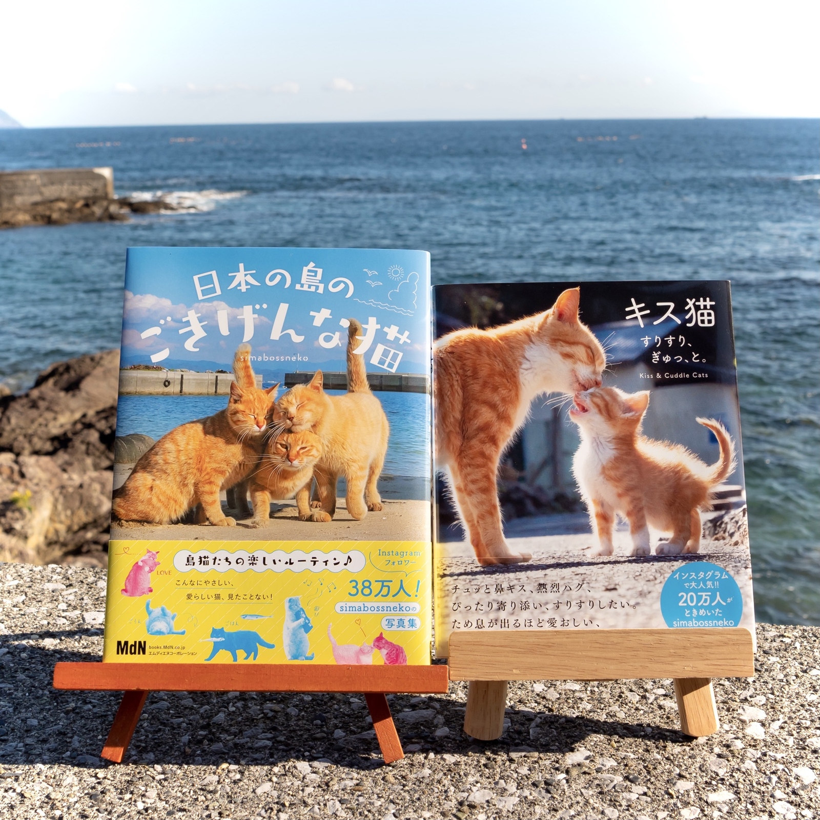 写真集 キス猫 ごきげんな猫サイン本セット Simabossneko S Shop Minne 国内最大級のハンドメイド 手作り通販サイト