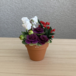 葉牡丹とシクラメンのアレンジ花鉢　2