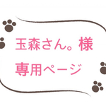 玉森さん。様専用ページ