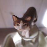 猫コザラ