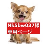 専用ページ