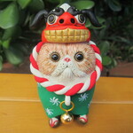獅子舞★エキゾチックショートヘア①