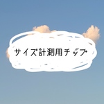 サイズ計測用チップ(10枚入)
