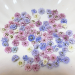 NO.2  かすみ草約100粒