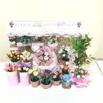 小さなお花屋さん💐🌼🌸