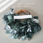 ｗｒｅａｔｈ　ユーカリのリース　ドライフラワーリース　ハーフリース　リース　ドライフラワー　プリザーブドフラワー