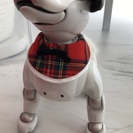  aiboちゃんのウールスタイ　aibo's bib ぬくぬく赤タータンチェック　フワモコ白毛足短めボア