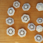 4数量限定 裏穴 17mm ボタン　2個