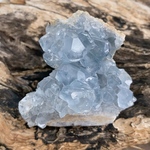 ◆新入荷◆セレスタイト クラスター(Celestite cluster) ◆虹◆恋愛運◆人間関係癒し◆S00344