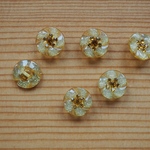 43数量限定 裏穴 15mm ボタン　2個