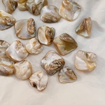 【再販】不揃いシェルビーズ🐚