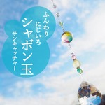 しゃぼん玉サンキャッチャー☆30㎜K9進素材クリスタルボールプリズム