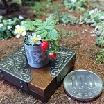 ミニチュア…「ちょっと、大きな苺…ブリキ缶」