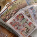 PETシール　きのこ収集🍄