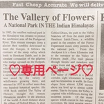 ♡専用ページ♡
