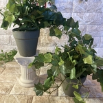 光触媒　人工観葉植物　ウォールグリーン　フェイク　アレンジ　アイビーポット