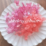 1点のみ　紫陽花　アジサイ　プリザーブドフラワー
