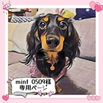 mint0509様 専用ページ