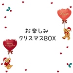 クリスマスギフト🎄5000円相当が入ってます♡布マスク/マスクケース
