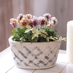 アクアレール　寄せ植えA