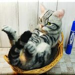 羊毛フェルト　猫　アメリカンショートヘア　アメショ　猫フィギュア　アメショー