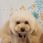 nicoくん専用