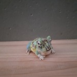 【L様専用ページ】ツノガエルさん　　羊毛フェルト　ぬいぐるみ　置物　インテリア　かえる　両生類　蛙　frog　お誕生日　プレゼント