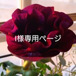 I様専用ページ