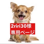 専用ページ