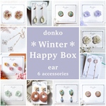 ❄︎Winter Happy Box❄︎　1点選べる♪イヤーアクセサリー６点セット