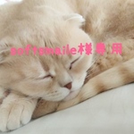 softsmaile様専用ページ