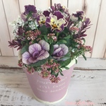 ･:*ビオラとイベリスの寄せ植え･:*