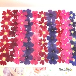♡new♡作家様必見♡ 人気のバーベナMIXセット♡押し花セット