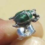 コガネムシのピアス　片耳