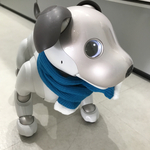 aiboちゃんのウールマフラー　aibo's stoleぬくぬくセルリアンブルー(黄味の混じった鮮やかな青)のウールニット　両端白ボア付き