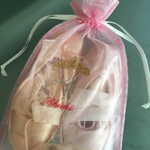 オーダーメイドのポワント入れ☻2足入ります