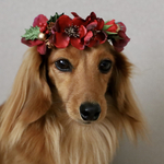 冬の花冠〈ジョイ〉ミニサイズ