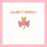 dam様♡♡専用ページ୨୧⑅*.