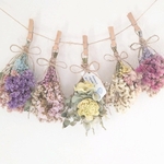 ꫛꫀꪝ＊限定＊ドライフラワー　スワッグ　ガーランド＊5点セット⑬