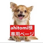 専用ページ