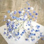 かすみ草    ✽煌めき purple・blue✽